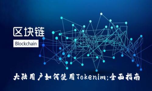 大陆用户如何使用Tokenim：全面指南