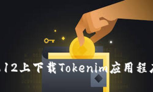 如何在苹果12上下载Tokenim应用程序：详细指南