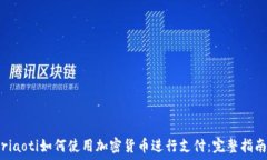   riaoti如何使用加密货币进行支付：完整指南
