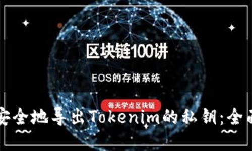 如何安全地导出Tokenim的私钥：全面指南