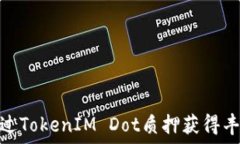   如何通过TokenIM Dot质押获得丰厚奖励