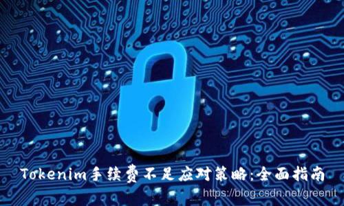 Tokenim手续费不足应对策略：全面指南