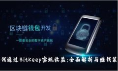 如何通过BitKeep实现收益：全面解析与赚钱策略